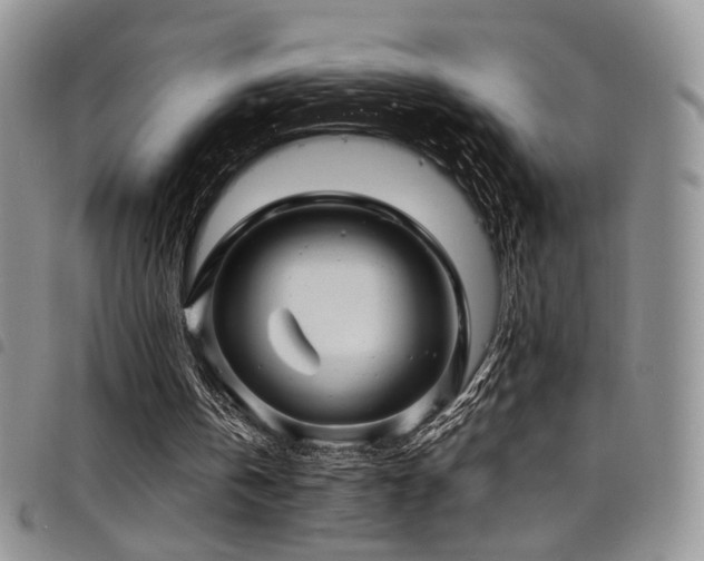 X0000098220146200804241352