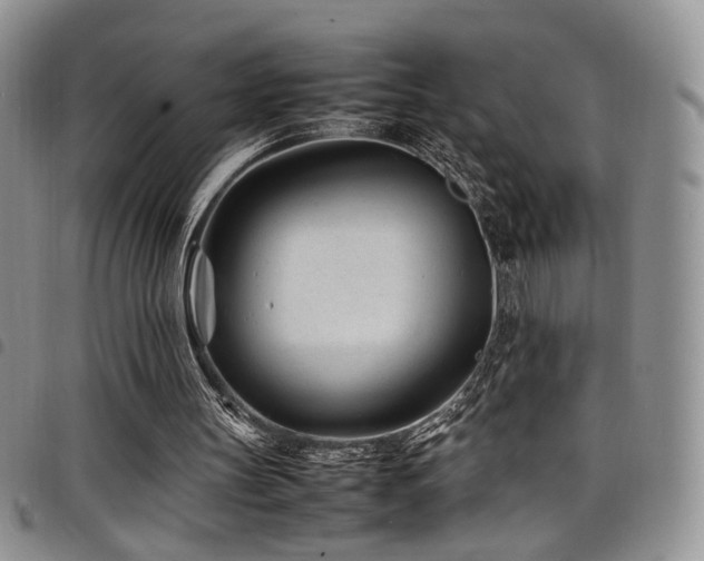 X0000098220147200804241352