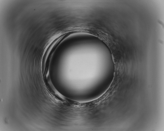 X0000098220148200804241352