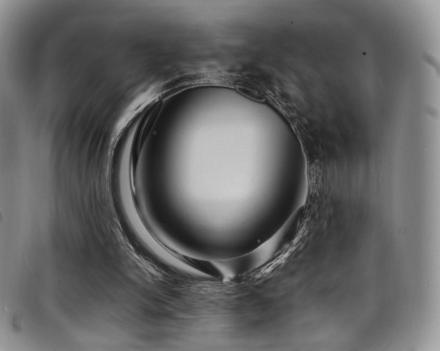 X0000098220150200804241352