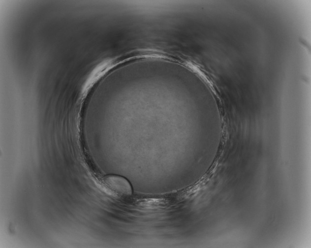 X0000098220151200804241352