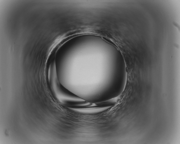X0000098220152200804241352