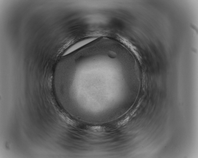 X0000098220153200804241352