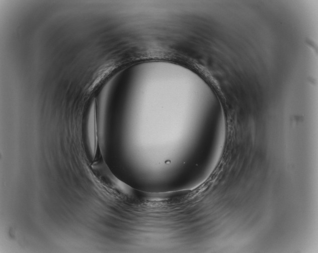 X0000098220154200804241352