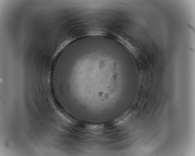 X0000098220155200804241352