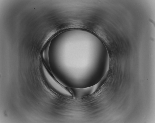 X0000098220156200804241352