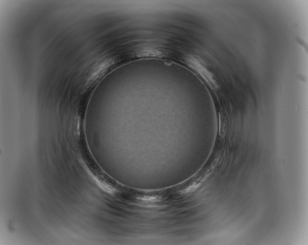X0000098220157200804241352