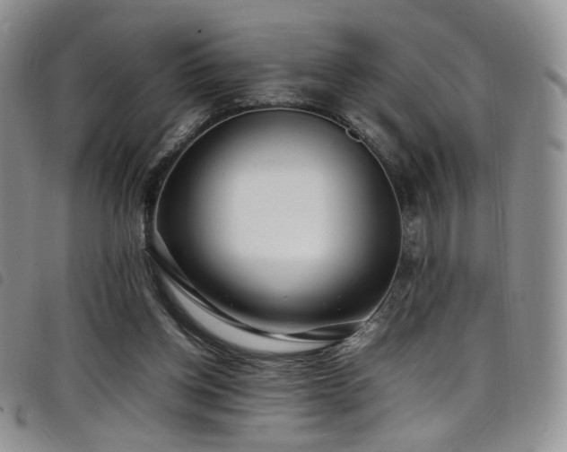 X0000098220158200804241352