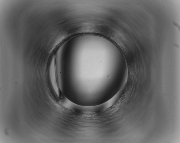 X0000098220160200804241352