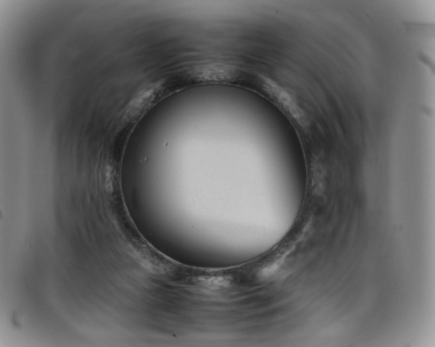 X0000098220161200804241352