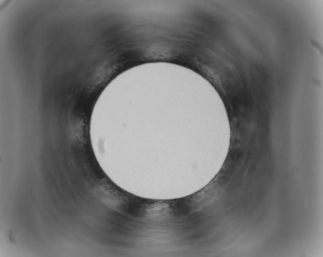 X0000098220162200804241352