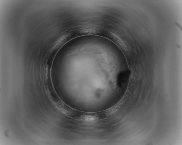 X0000098220163200804241352