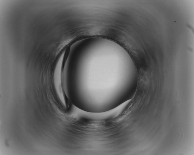 X0000098220164200804241352