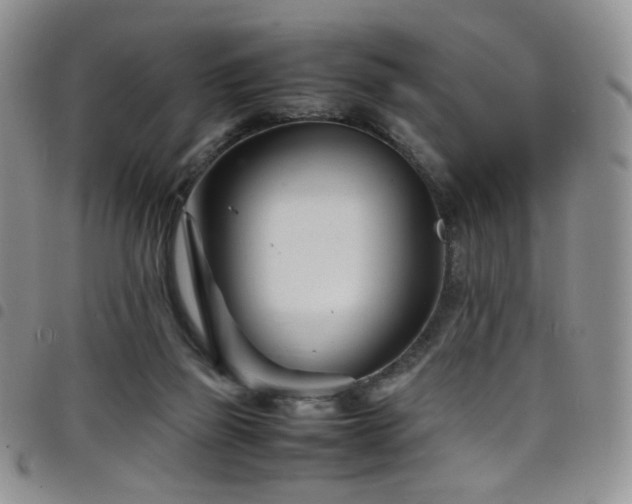 X0000098220165200804241352