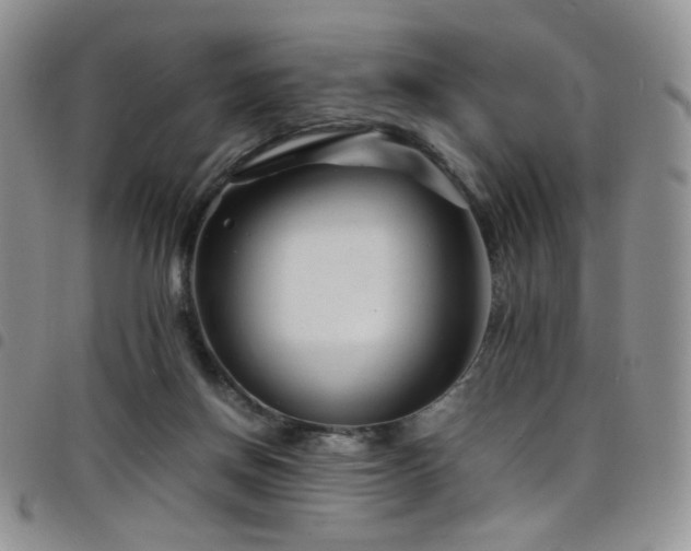 X0000098220166200804241352