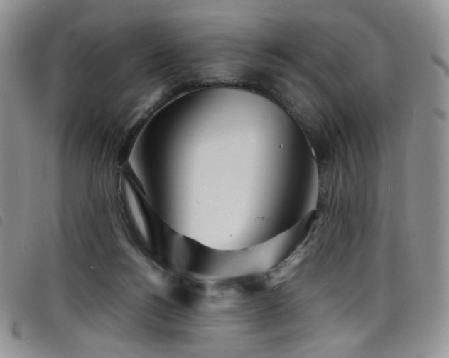 X0000098220168200804241352