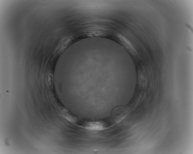X0000098220169200804241352