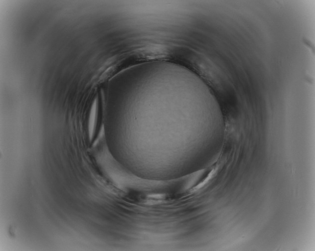 X0000098220170200804241352