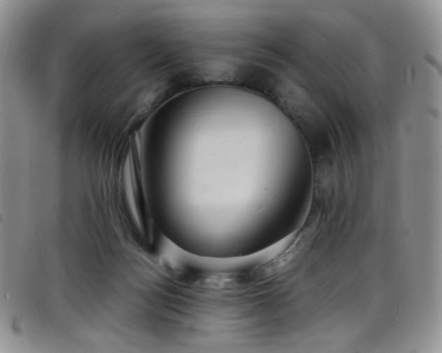 X0000098220172200804241352