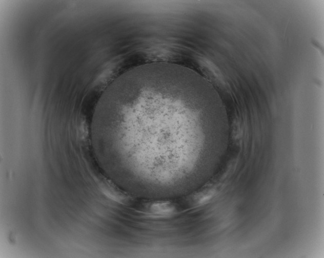 X0000098220173200804241352