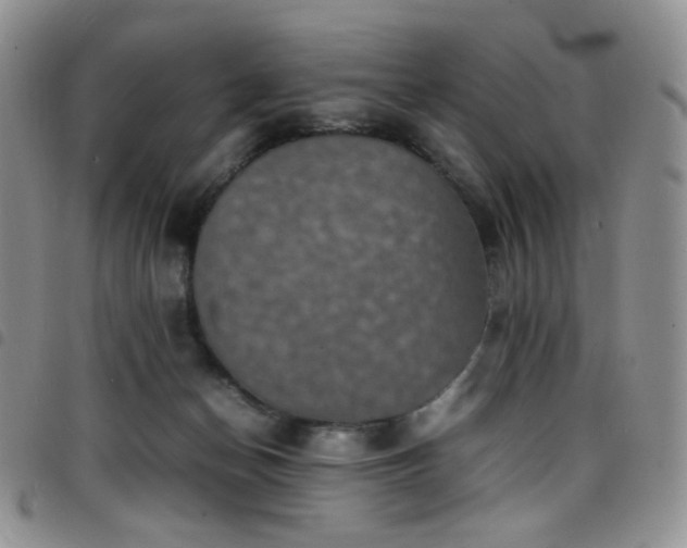 X0000098220174200804241352