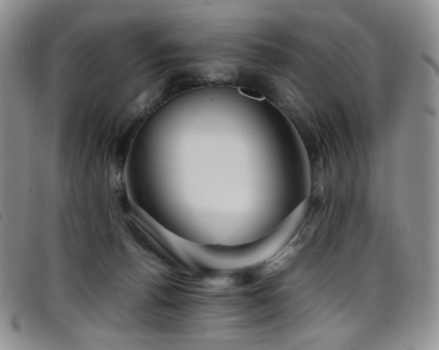X0000098220176200804241352