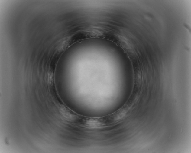 X0000098220177200804241352