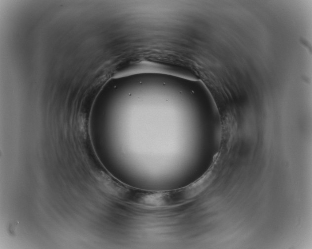 X0000098220178200804241352