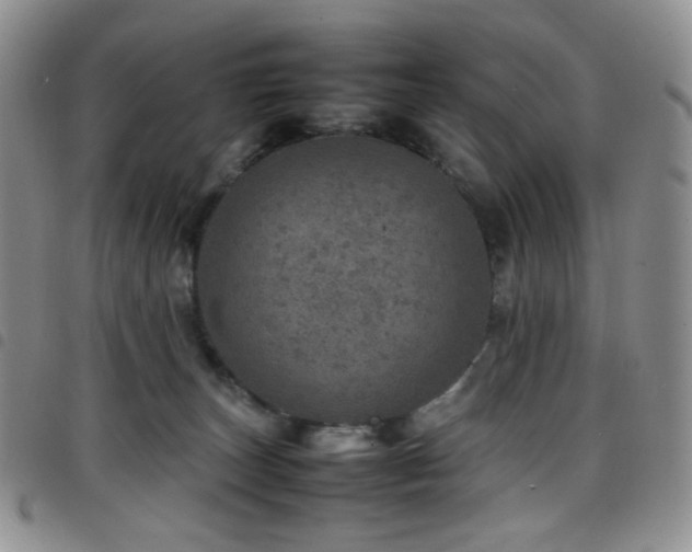 X0000098220179200804241352