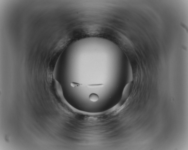 X0000098220180200804241352