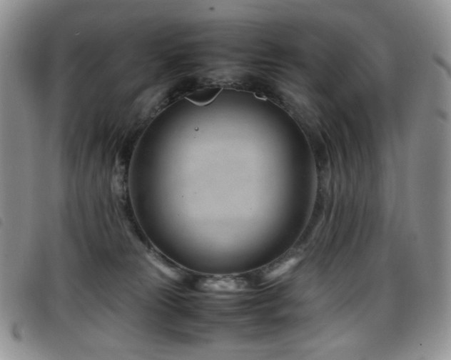 X0000098220181200804241352