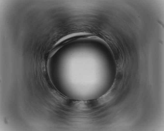 X0000098220182200804241352
