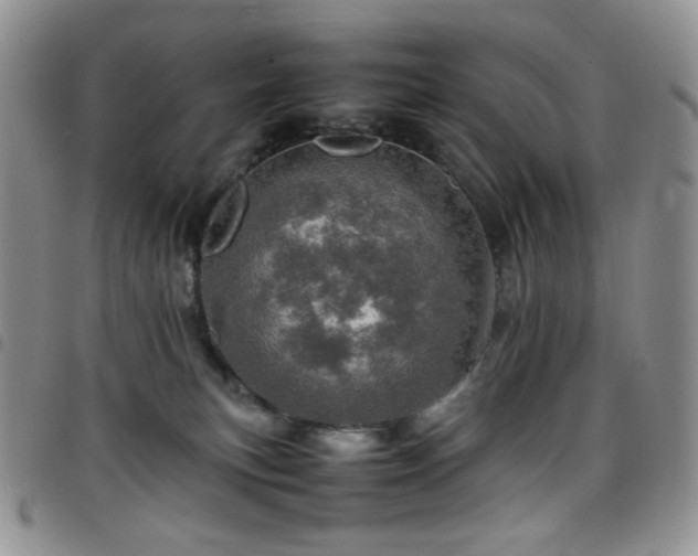X0000098220183200804241352