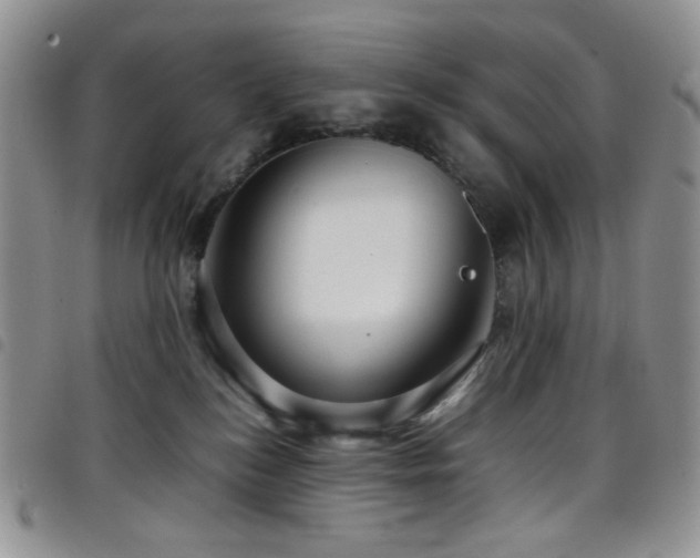 X0000098220184200804241352
