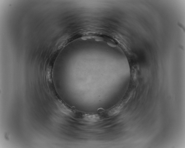 X0000098220185200804241352