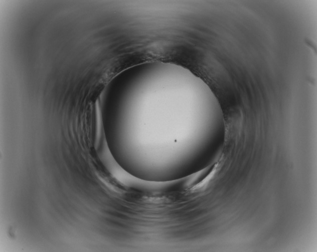 X0000098220186200804241352