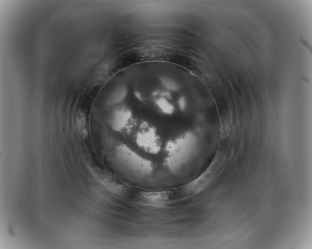 X0000098220187200804241352