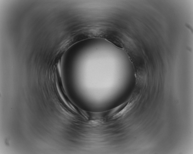 X0000098220188200804241352