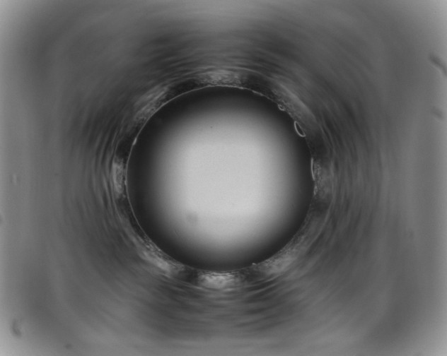 X0000098220189200804241352