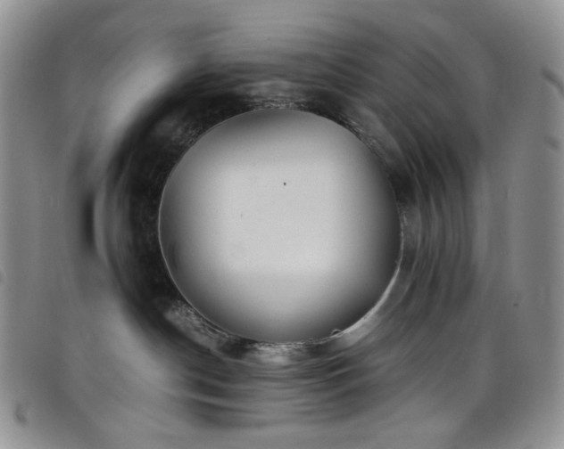 X0000098220190200804241352