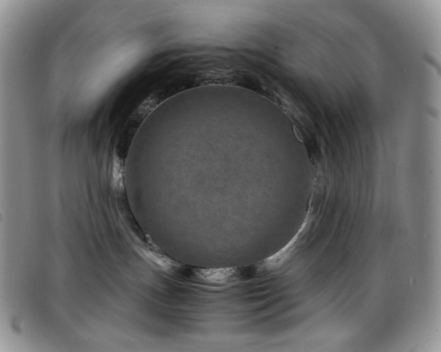 X0000098220191200804241352