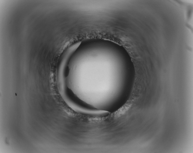 X0000098220192200804241352