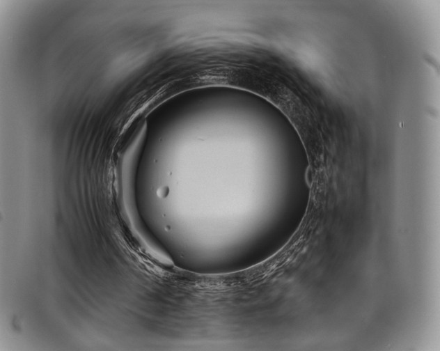 X0000098220194200804241352