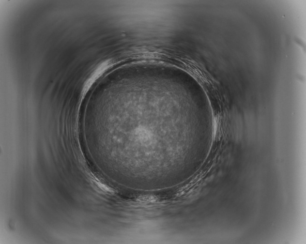X0000098220195200804241352