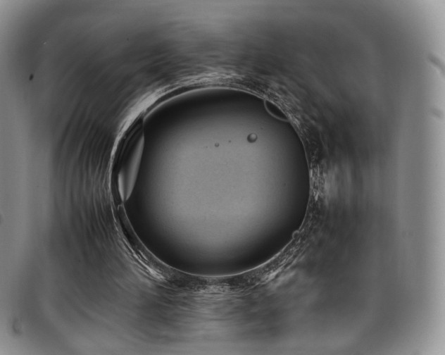 X0000098220196200804241352