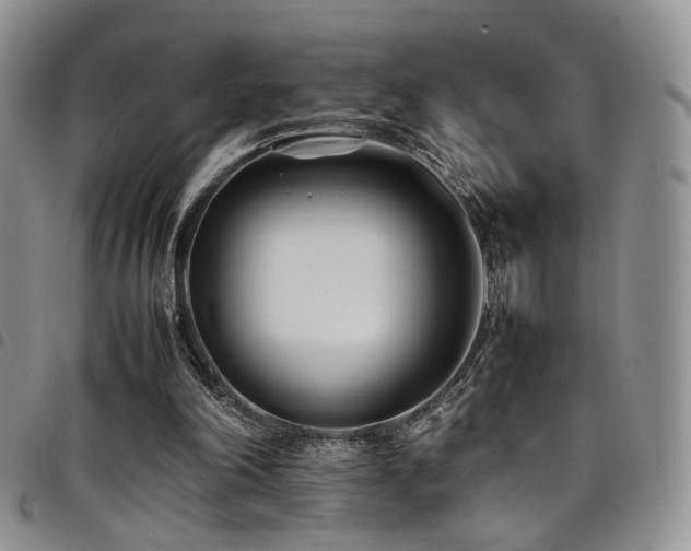 X0000098220198200804241352