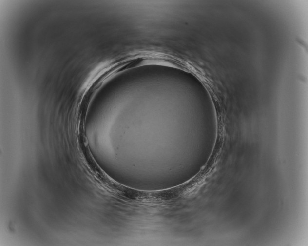 X0000098220199200804241352