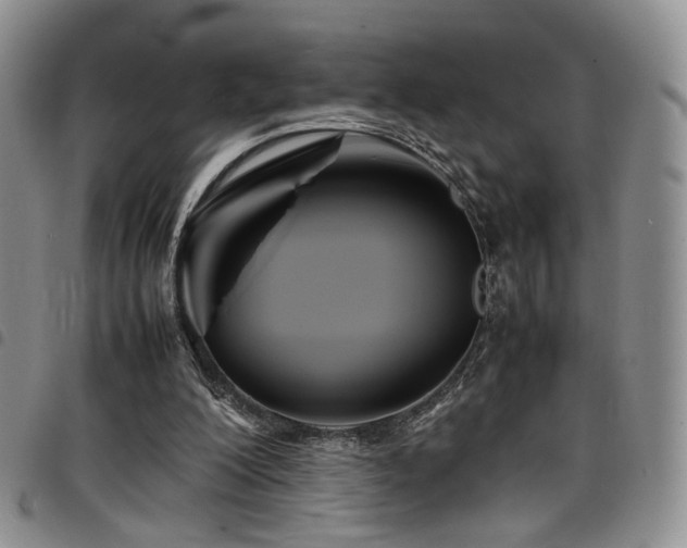 X0000098220200200804241352