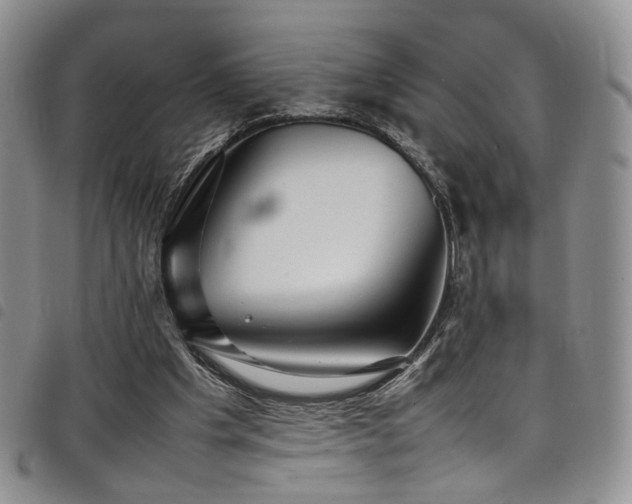 X0000098220201200804241352