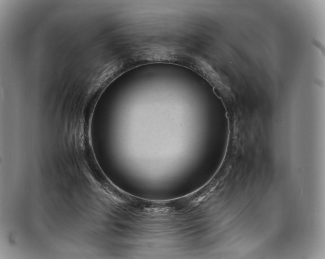 X0000098220202200804241352